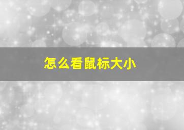 怎么看鼠标大小