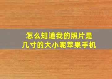 怎么知道我的照片是几寸的大小呢苹果手机