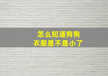 怎么知道狗狗衣服是不是小了