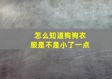 怎么知道狗狗衣服是不是小了一点