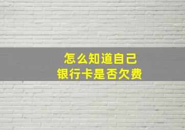 怎么知道自己银行卡是否欠费