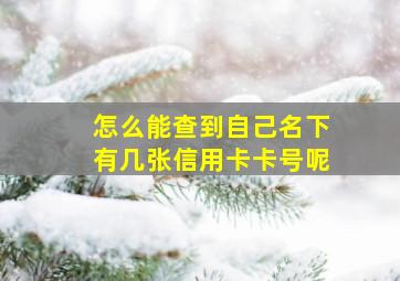 怎么能查到自己名下有几张信用卡卡号呢