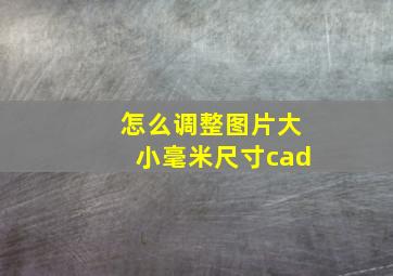 怎么调整图片大小毫米尺寸cad