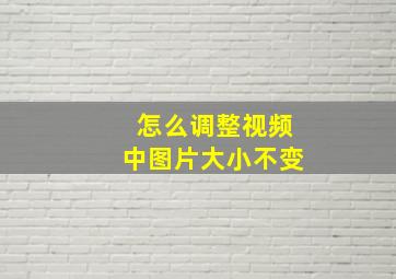 怎么调整视频中图片大小不变