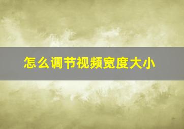 怎么调节视频宽度大小