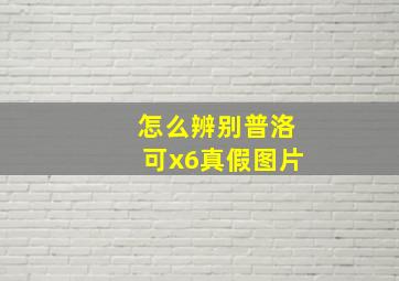 怎么辨别普洛可x6真假图片