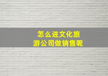 怎么进文化旅游公司做销售呢