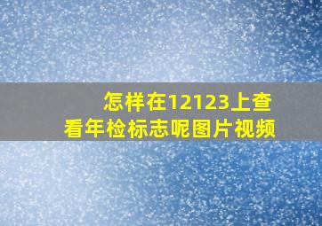 怎样在12123上查看年检标志呢图片视频