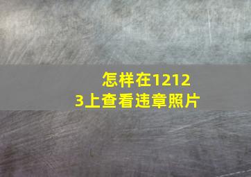 怎样在12123上查看违章照片