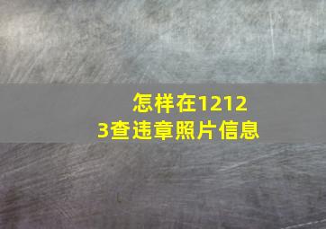 怎样在12123查违章照片信息