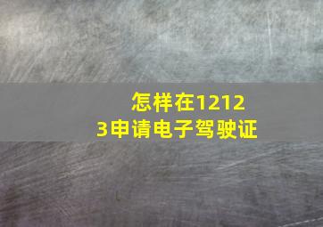 怎样在12123申请电子驾驶证