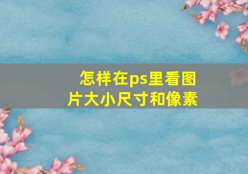 怎样在ps里看图片大小尺寸和像素