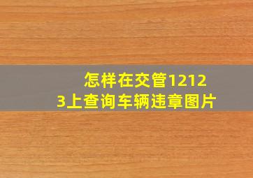 怎样在交管12123上查询车辆违章图片