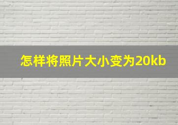 怎样将照片大小变为20kb