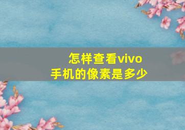 怎样查看vivo手机的像素是多少