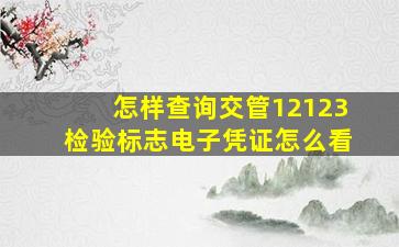 怎样查询交管12123检验标志电子凭证怎么看