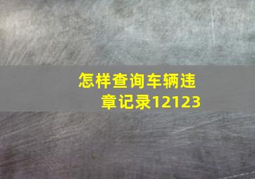 怎样查询车辆违章记录12123