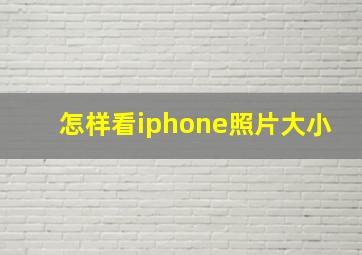 怎样看iphone照片大小