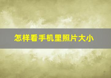 怎样看手机里照片大小