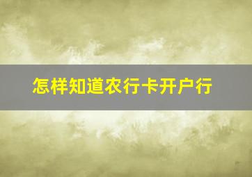 怎样知道农行卡开户行