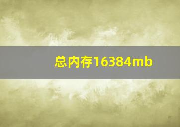 总内存16384mb