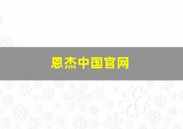 恩杰中国官网