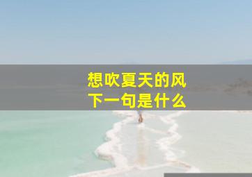 想吹夏天的风下一句是什么