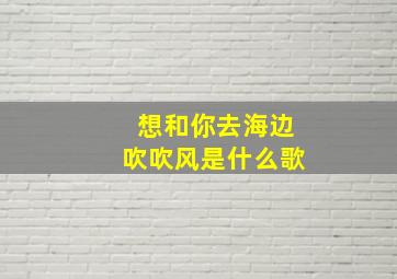 想和你去海边吹吹风是什么歌