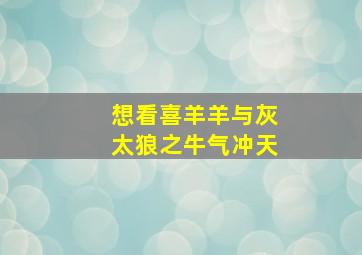 想看喜羊羊与灰太狼之牛气冲天