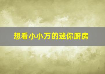 想看小小万的迷你厨房