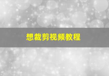 想裁剪视频教程