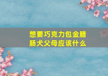 想要巧克力包金腊肠犬父母应该什么