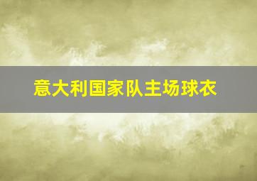 意大利国家队主场球衣