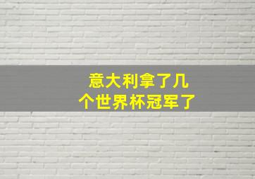 意大利拿了几个世界杯冠军了