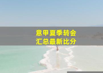 意甲夏季转会汇总最新比分