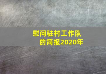 慰问驻村工作队的简报2020年