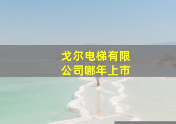 戈尔电梯有限公司哪年上市