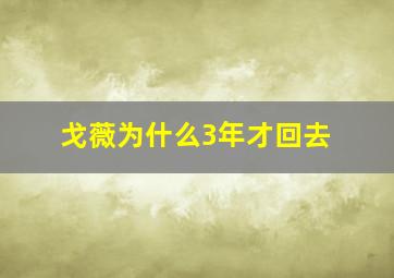 戈薇为什么3年才回去