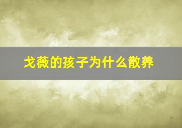 戈薇的孩子为什么散养