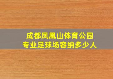 成都凤凰山体育公园专业足球场容纳多少人