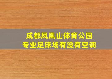 成都凤凰山体育公园专业足球场有没有空调