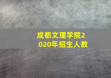 成都文理学院2020年招生人数