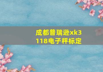 成都普瑞逊xk3118电子秤标定