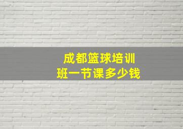 成都篮球培训班一节课多少钱