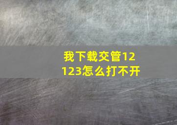 我下载交管12123怎么打不开