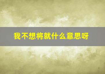 我不想将就什么意思呀