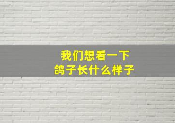 我们想看一下鸽子长什么样子