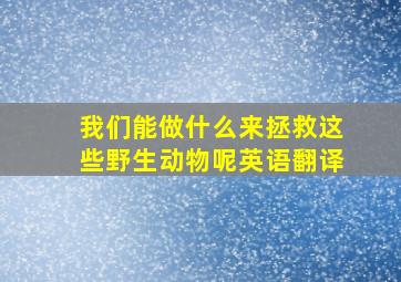 我们能做什么来拯救这些野生动物呢英语翻译