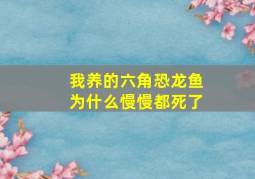 我养的六角恐龙鱼为什么慢慢都死了