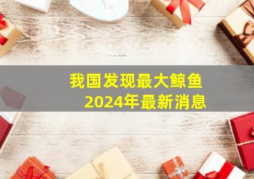 我国发现最大鲸鱼2024年最新消息